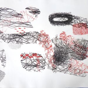 Not the end of the road II, 120 cm x 80 cm, 2 kleuren ets, monoprint, inzending Fuse